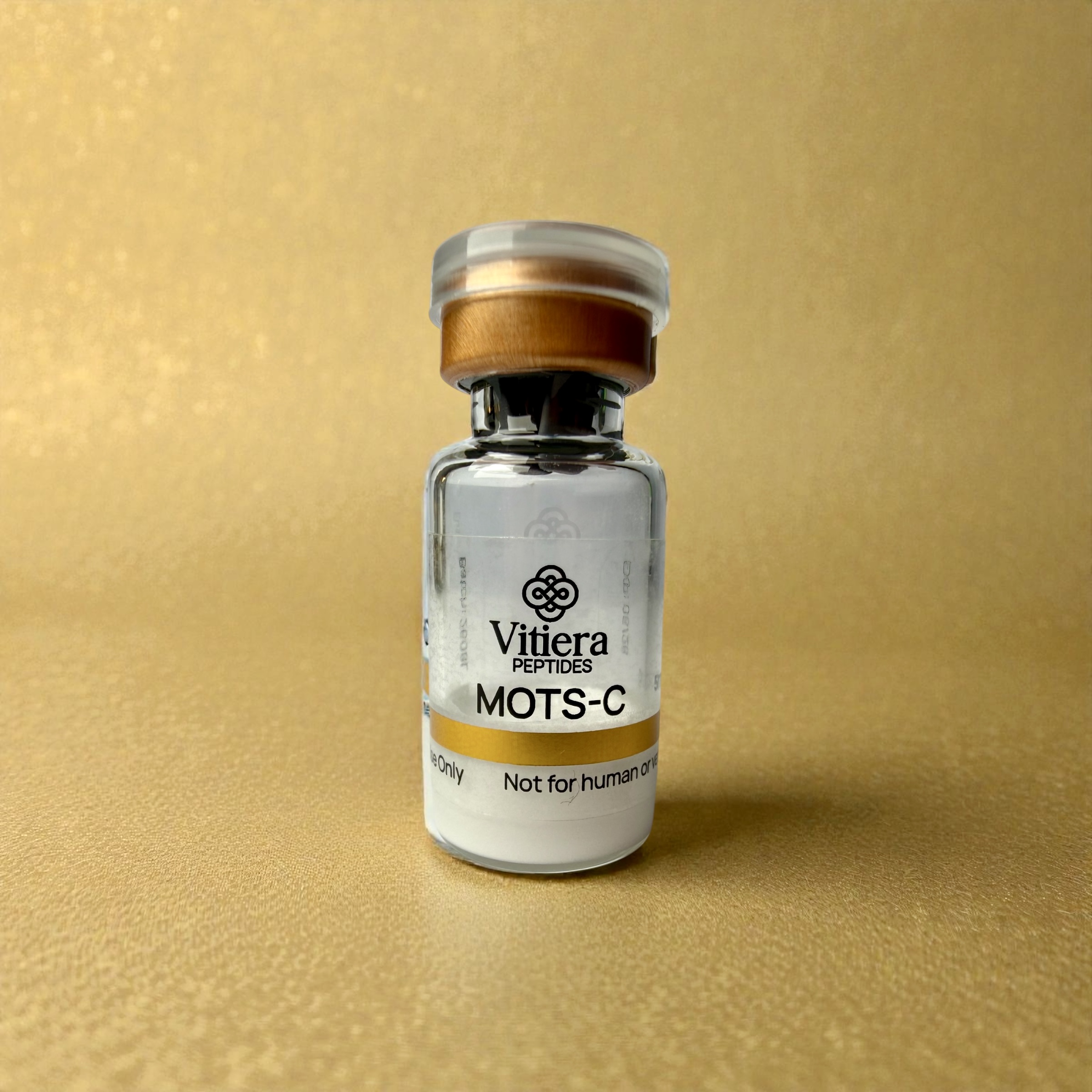 photoroom 20260204 205538