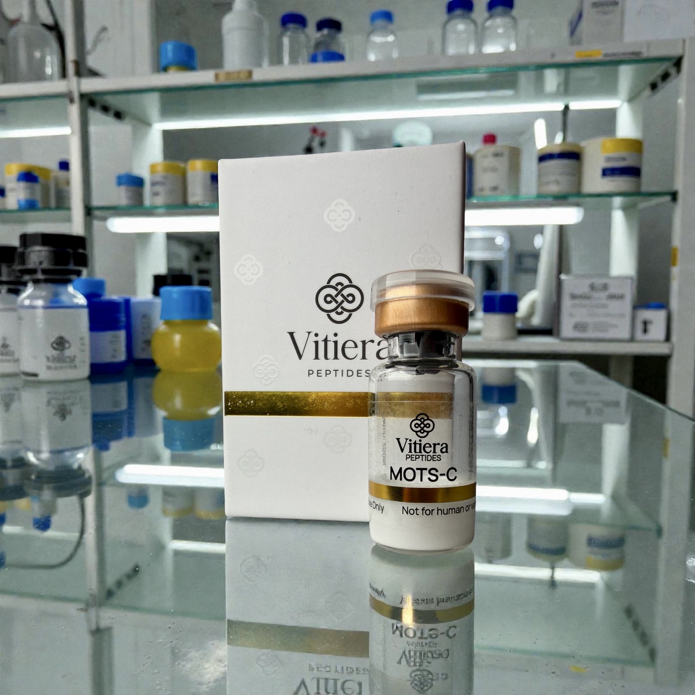 photoroom 20260204 211007 photoroom 20260204 211007